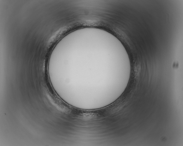 X0000110700686200907021958