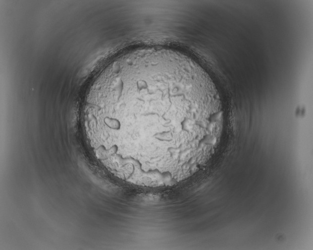 X0000110700687200907021958