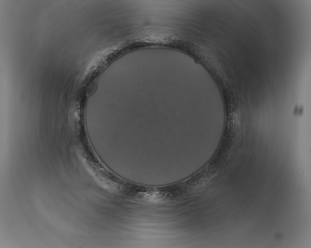 X0000110700688200907021958