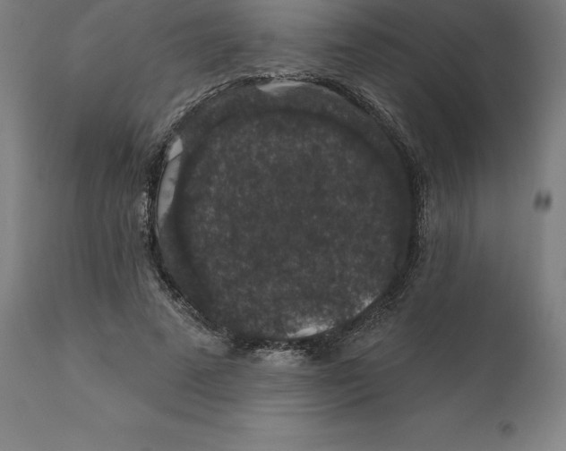 X0000110700689200907021958