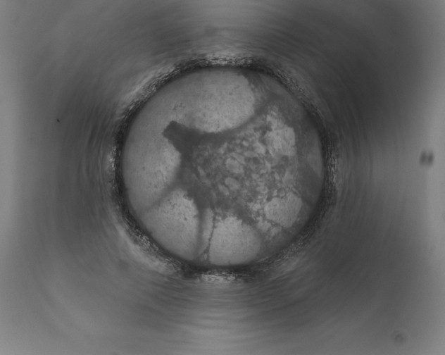 X0000110700690200907021958