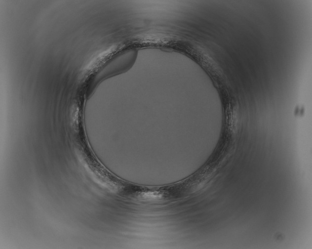 X0000110700692200907021958