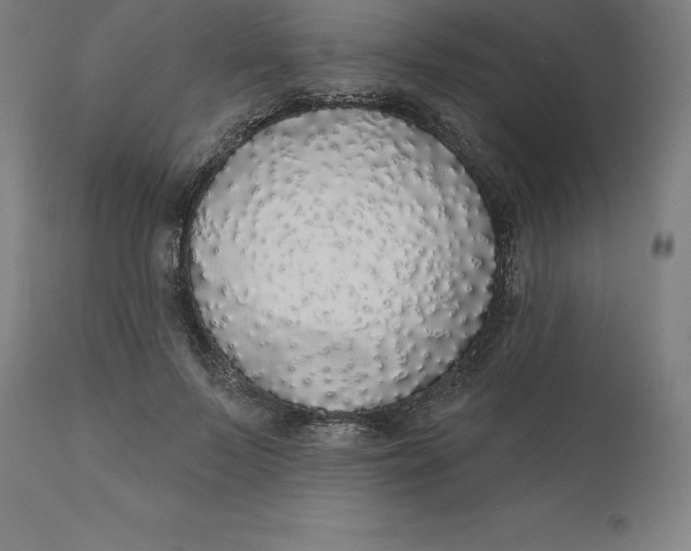 X0000110700695200907021958