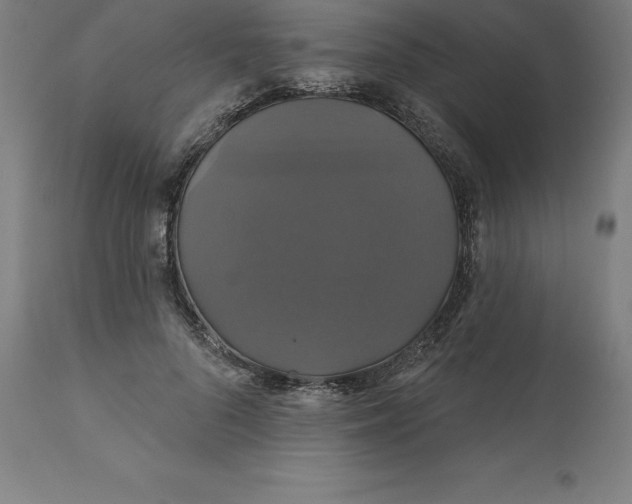 X0000110700696200907021958
