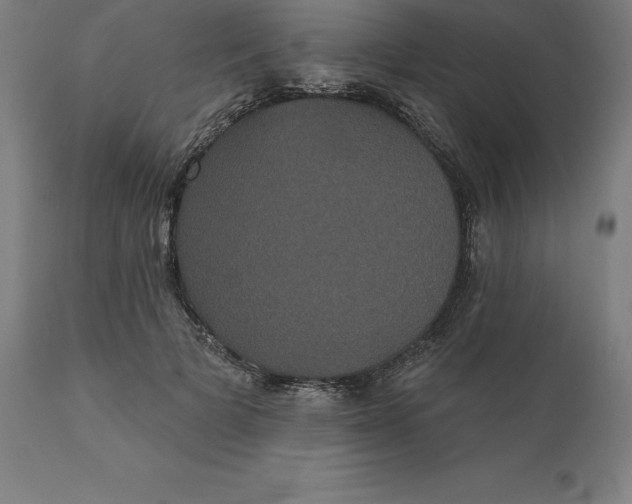 X0000110700697200907021958