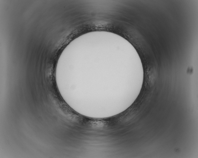 X0000110700698200907021958