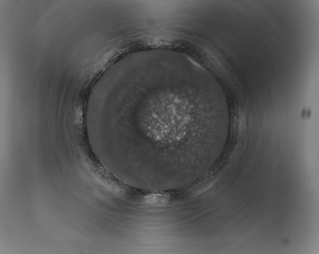X0000110700700200907021958