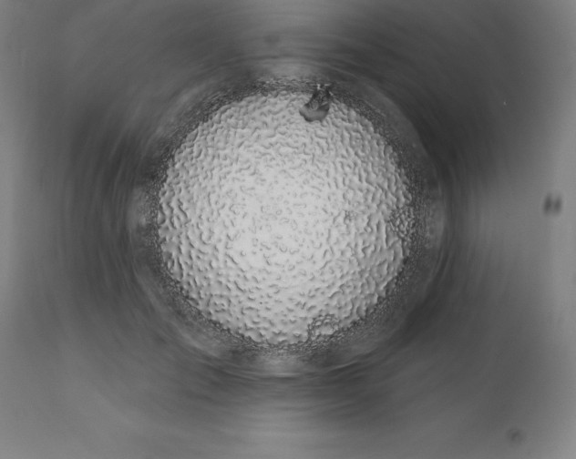 X0000110700701200907021958