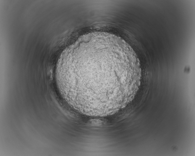 X0000110700703200907021958
