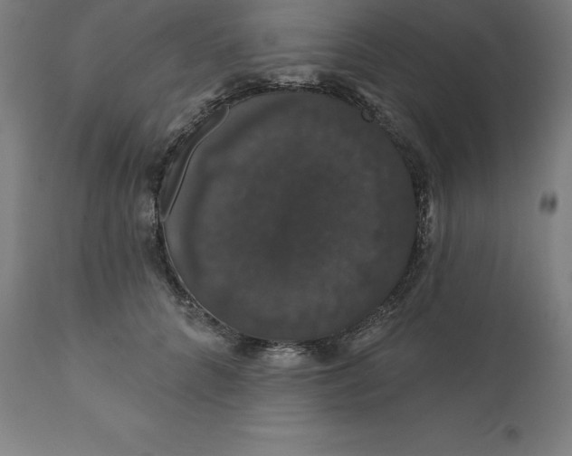 X0000110700704200907021958