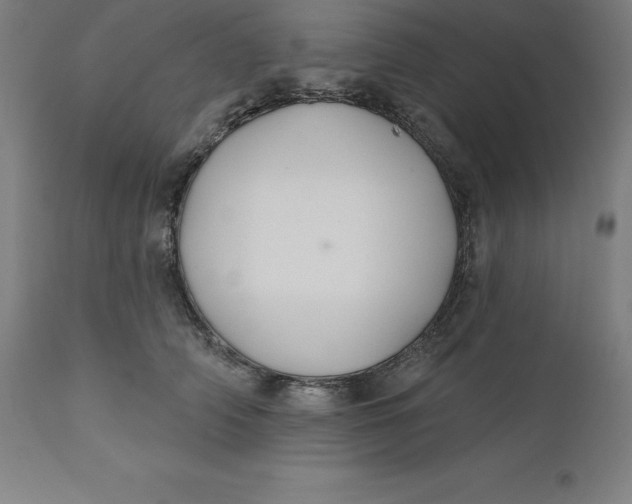 X0000110700706200907021958