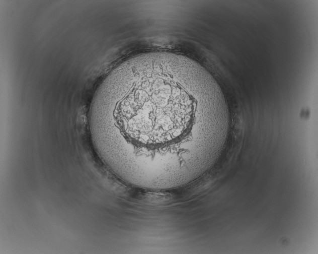 X0000110700707200907021958