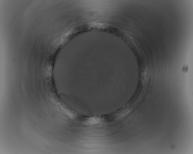 X0000110700708200907021958