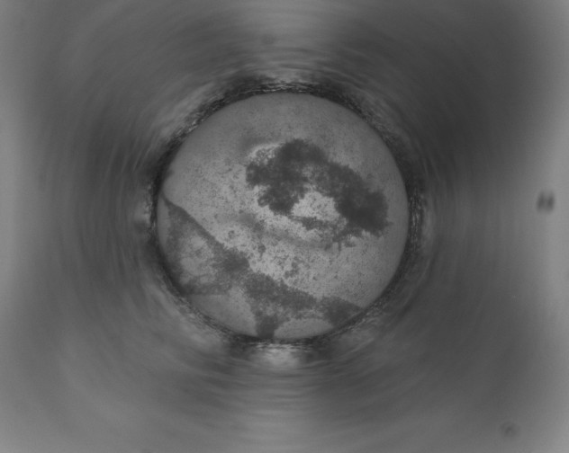 X0000110700710200907021958