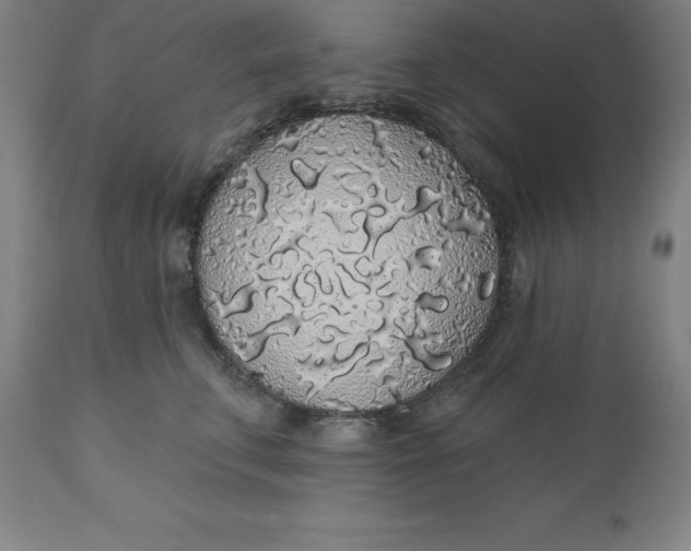 X0000110700711200907021958