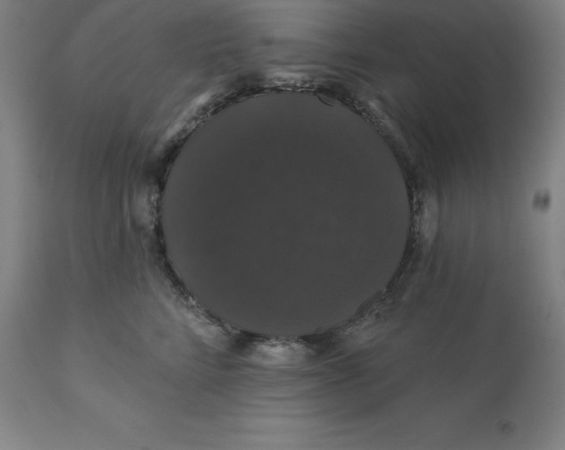 X0000110700712200907021957