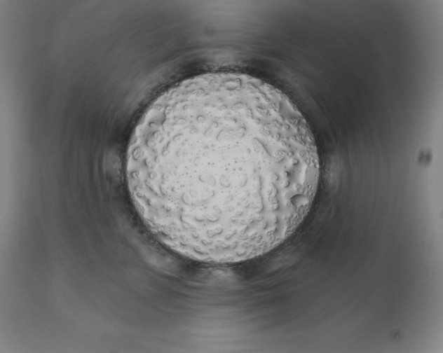 X0000110700715200907021957