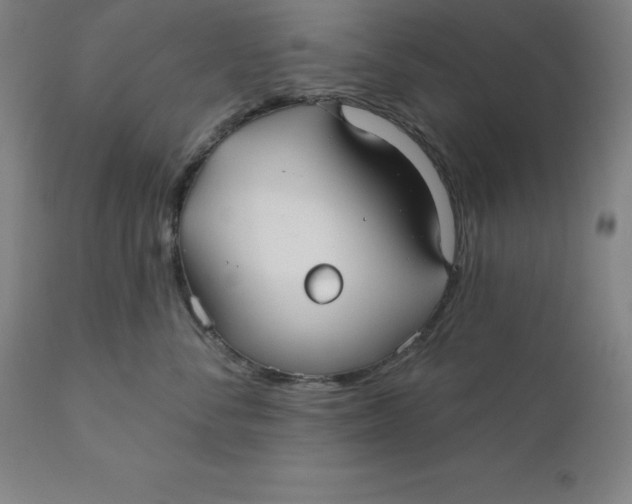 X0000110700716200907021957