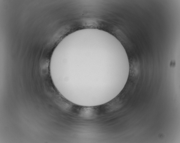 X0000110700717200907021957