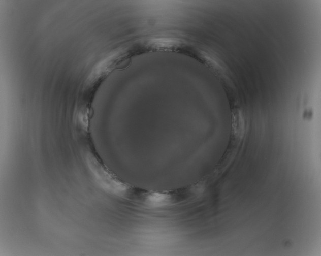 X0000110700718200907021957