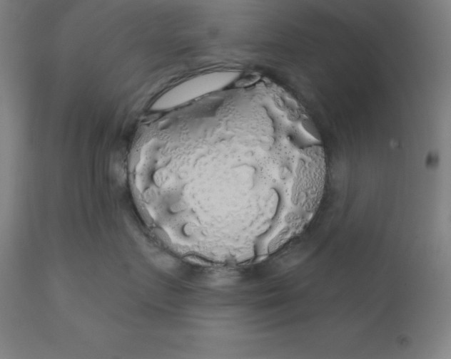 X0000110700719200907021957