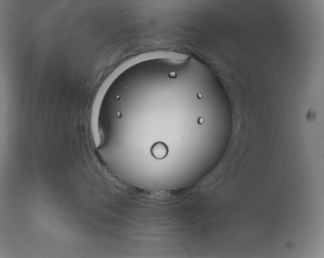 X0000110700720200907021957