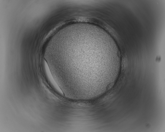 X0000110700722200907021957