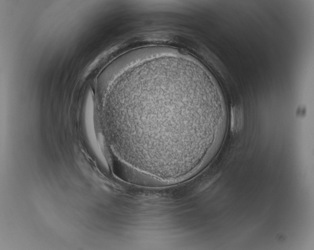 X0000110700723200907021957