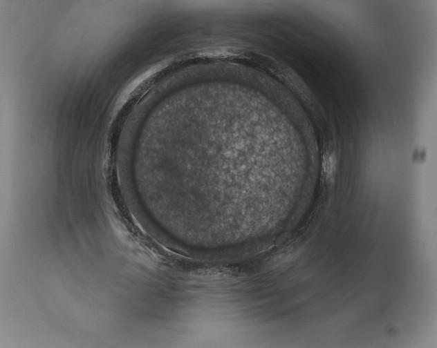 X0000110700724200907021957