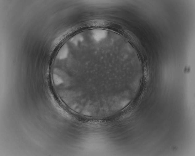 X0000110700725200907021957