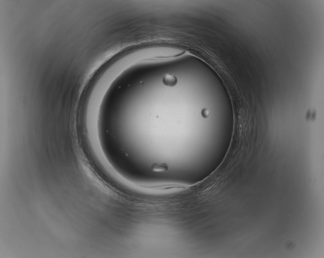 X0000110700726200907021957