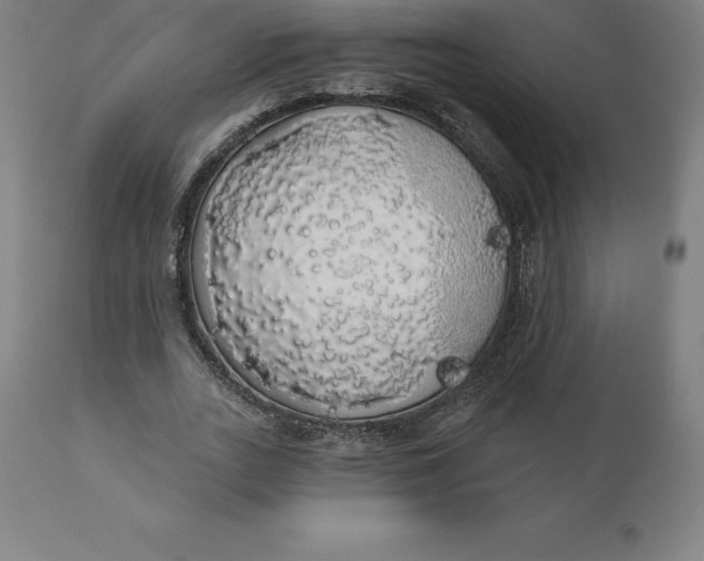 X0000110700727200907021957