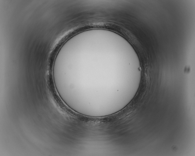 X0000110700728200907021957