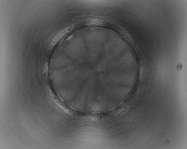 X0000110700729200907021957