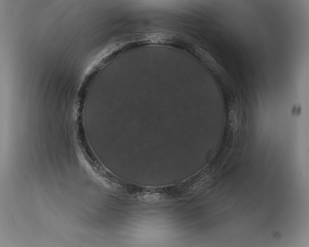 X0000110700730200907021957