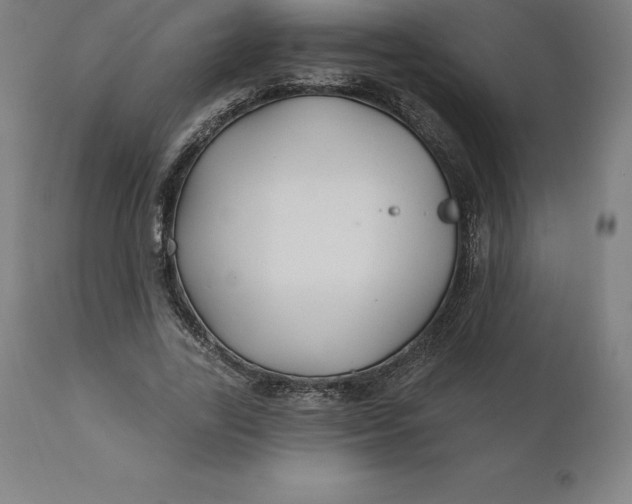 X0000110700731200907021957