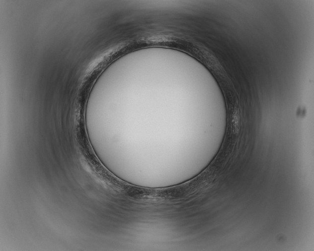 X0000110700732200907021957