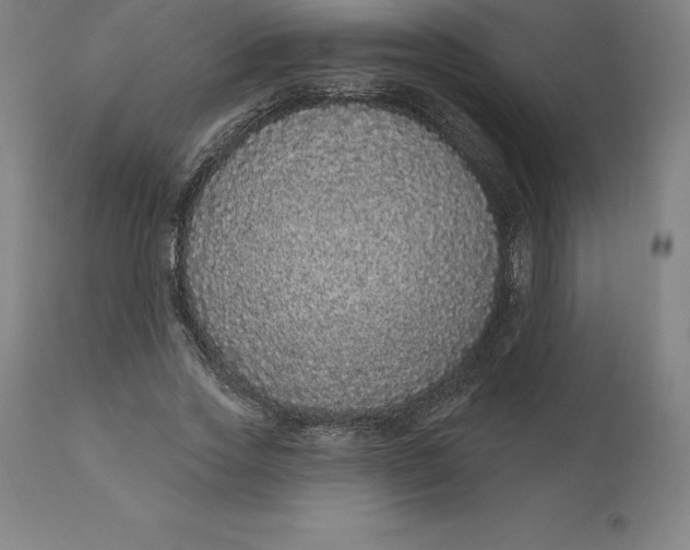 X0000110700733200907021957