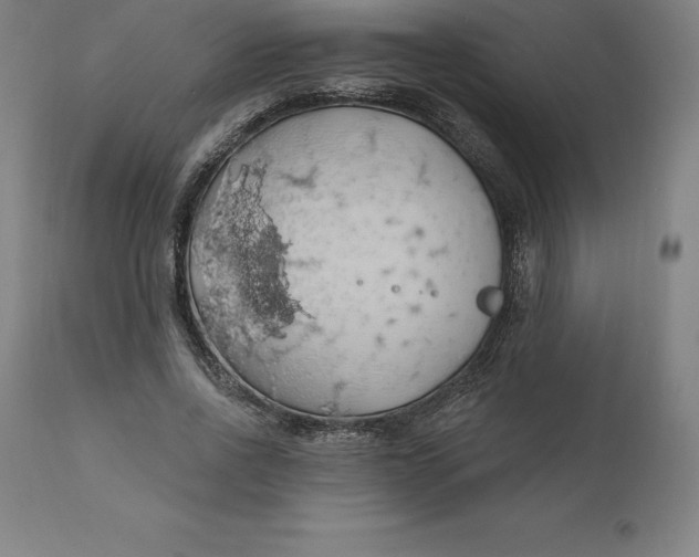 X0000110700734200907021957