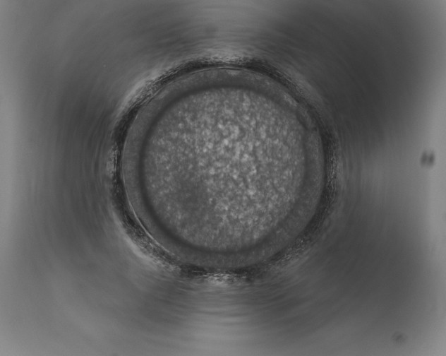 X0000110700736200907021957