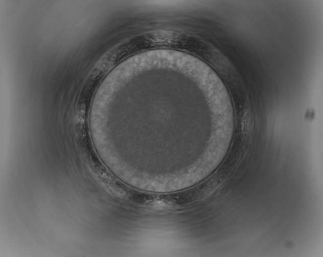 X0000110700737200907021957