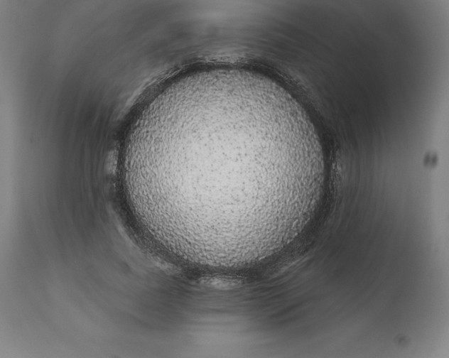 X0000110700739200907021957