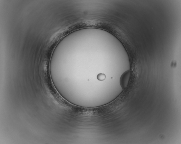 X0000110700740200907021957