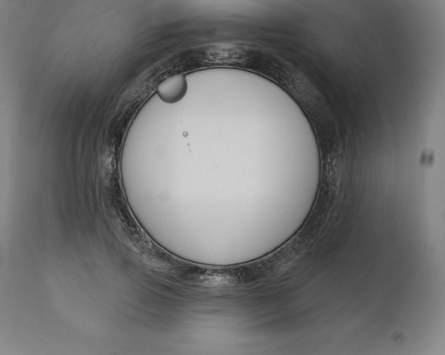 X0000110700741200907021957