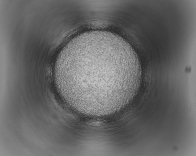 X0000110700743200907021957