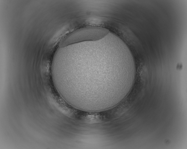 X0000110700744200907021957