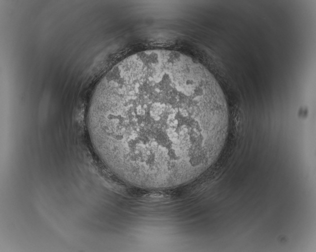 X0000110700745200907021957