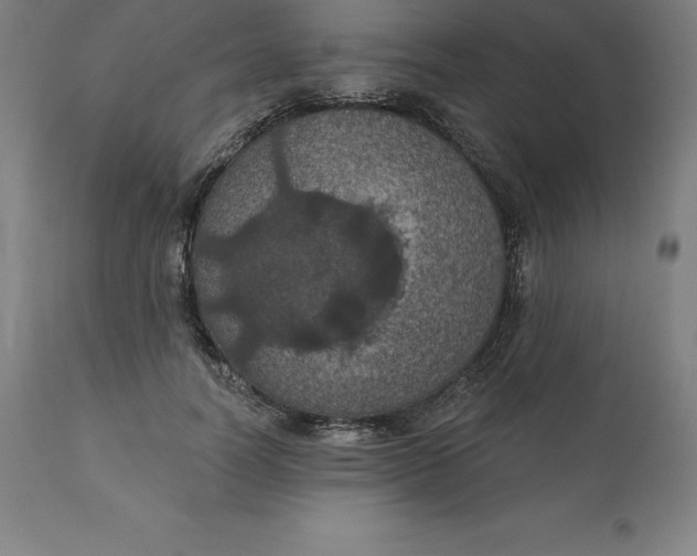 X0000110700746200907021957