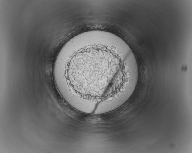 X0000110700747200907021957