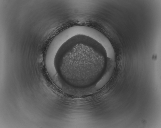 X0000110700748200907021957